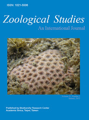東海岸發現的新種石珊瑚，引躍上國際學術期刊