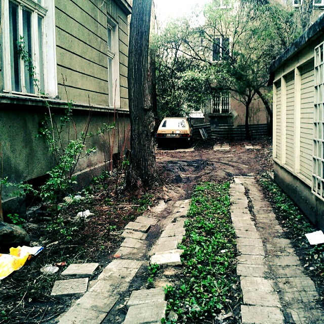 Abandoned driveway