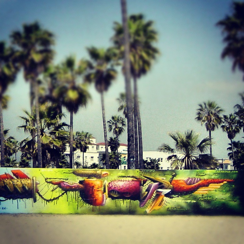 in Venice Beach Kalifornien