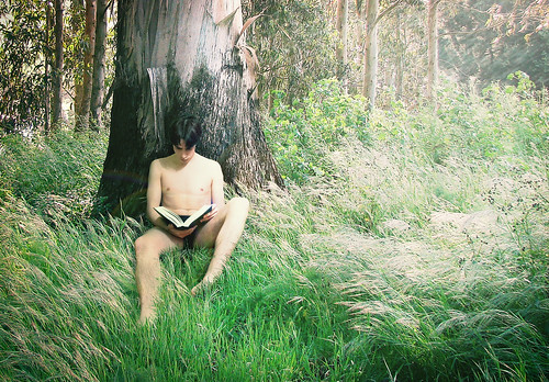 無料写真素材|人物|男性|人物森林|本・ブック