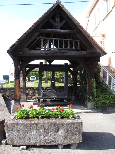 dambach la ville- chateaux- bernstein- ortenbourg 366