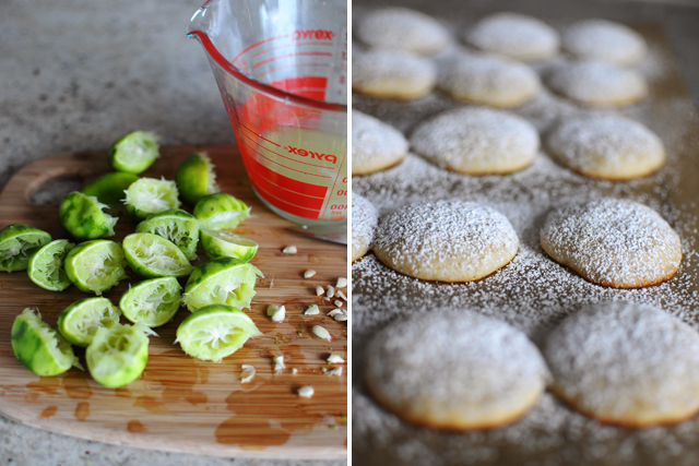 key-lime-cookie-making