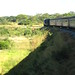 Along the railway from Dodoma to Kigoma, Tanzania - IMG_0400