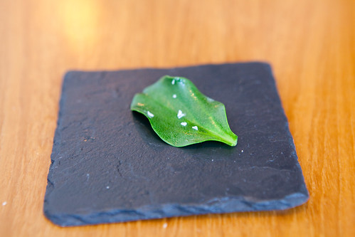 Part of Course 2: Oyster leaf with sea salt