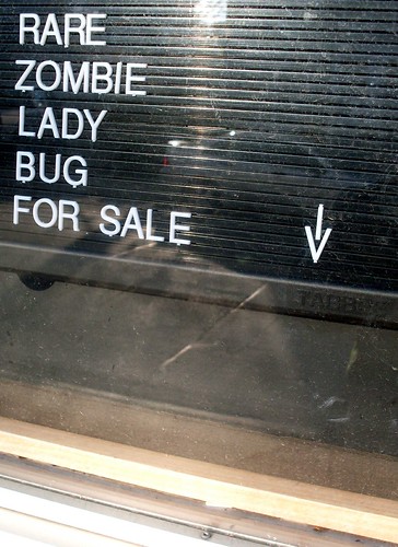 Rare Zombie Lady Bug by Georgie_grrl