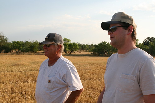 Mike and Ryan Campbell watch their crop being harvested