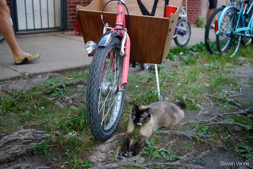 Pearl and a bakfiets at Cargo Bike Roll Call, June 2012