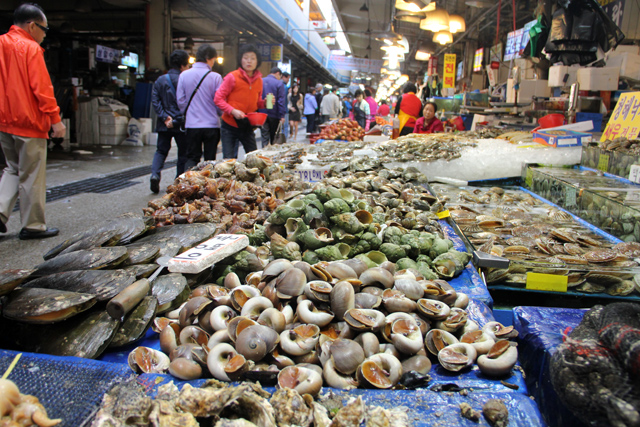 An abundance of shellfish