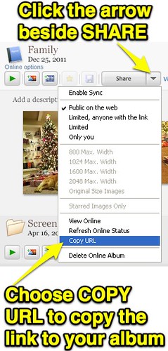 Copy Picasa Web Album Link