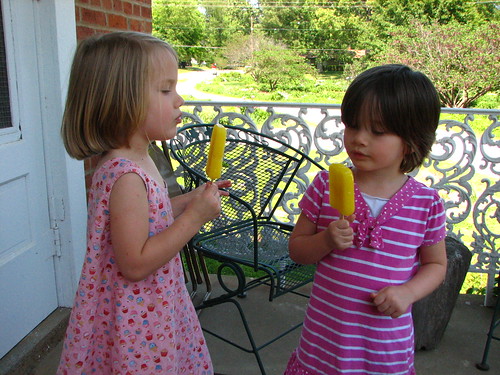 popsicles for a warm day