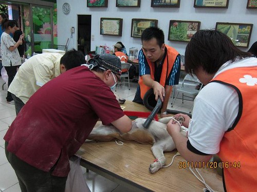 台北市湖光動物醫院院長林雅哲由實務經驗得出，偏鄉民眾養狗，問題不在於教育不夠，而是資源缺乏。（圖片來源：湖光動物醫院臉書網頁）