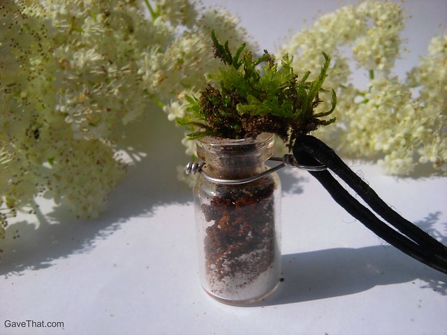 The finished do it yourself terrarium necklace