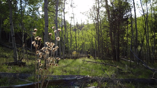 2012.05_backpacking lost creek wilderness (2)