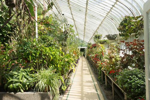 A Visit To The Belfast Botanic Gardens by infomatique