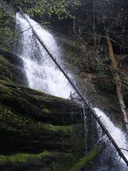 Wright Creek Upper Falls