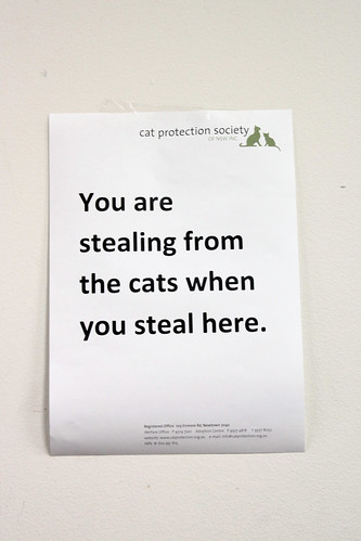 Stealing from the cats