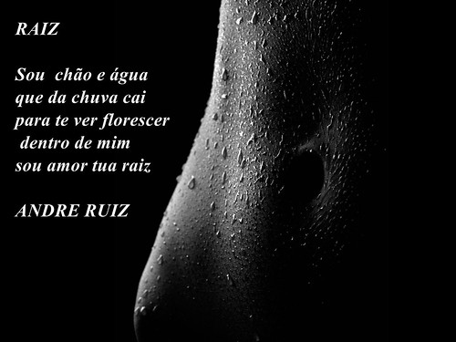 RAIZ by amigos do poeta