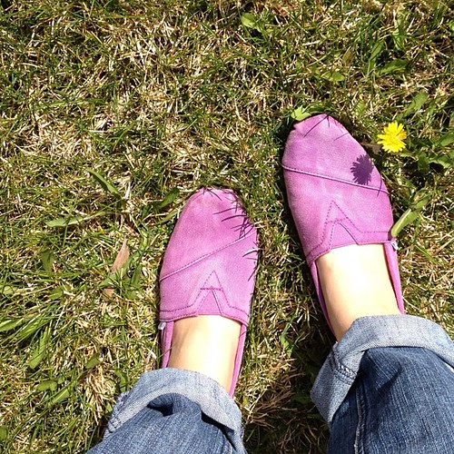 Purple Toms! I already love them. #toms