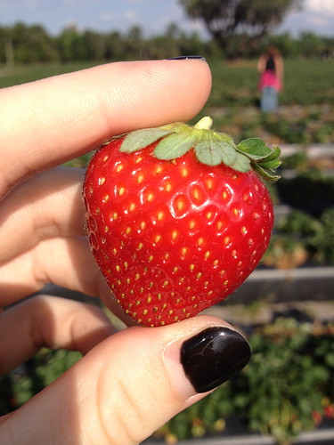 Strawberry from Wish Farms