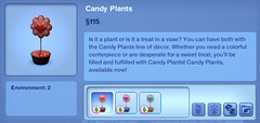 Candy Plants