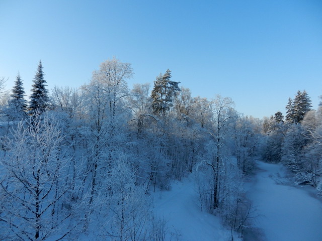 Winter_1_2012