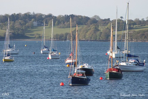 Trelissick, from Mylor by Stocker Images