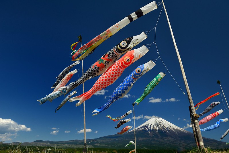 鯉のぼりと富士山
