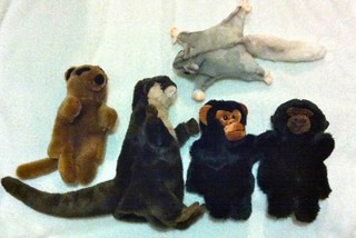 Zoo puppets