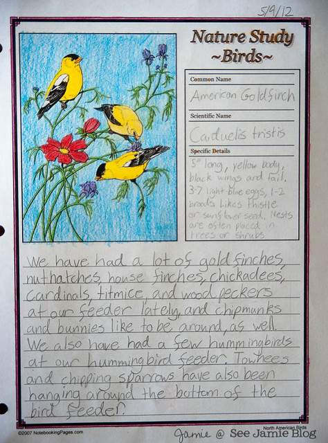 Goldfinch Journal Page