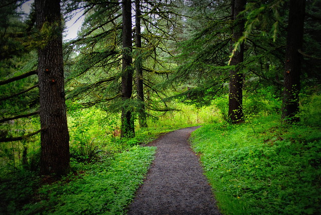 Trail in Hoyt Arboretum