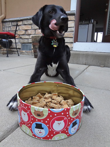 2012.05_spent grains dog biscuits