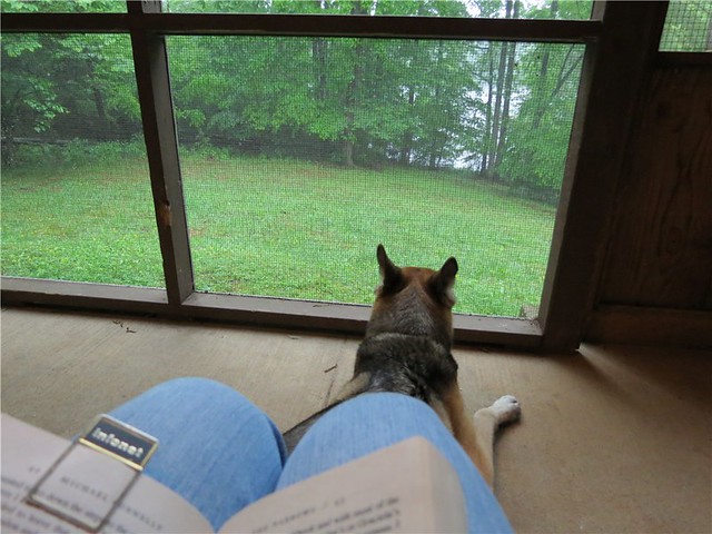 Reading and raining from inside our cabin at Fairy Stone State Park
