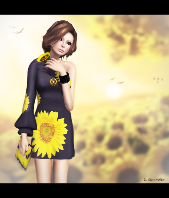 SoLiDea FoLieS -Sunflower version 2