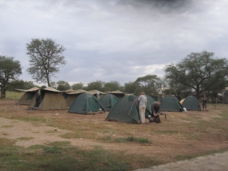 Camping Serengeti Africa