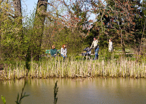 Pond Viewing