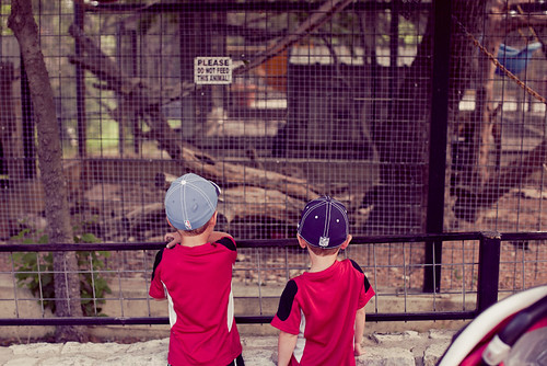 Zoo Trip April 2012-0004