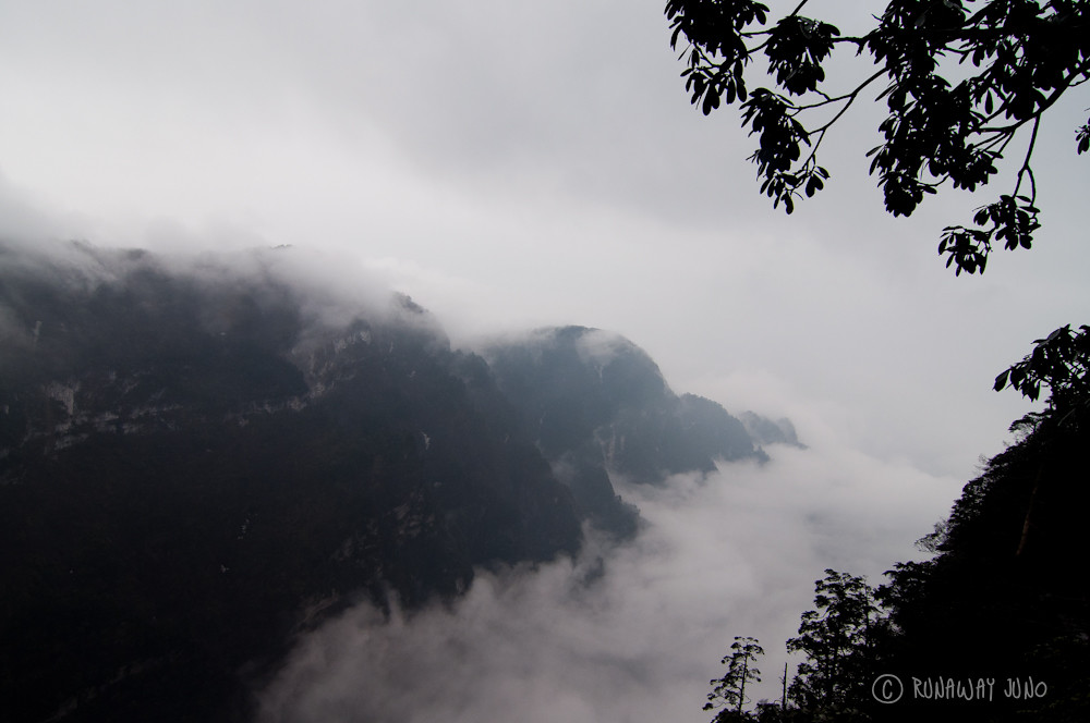 The highlight of the hiking: walking above the clouds in Emei Shan