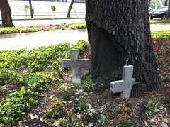 Memorials/Crosses