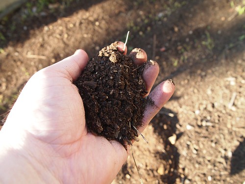 Sifted Compost