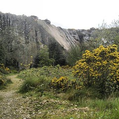 lovely Dalkey Quarry