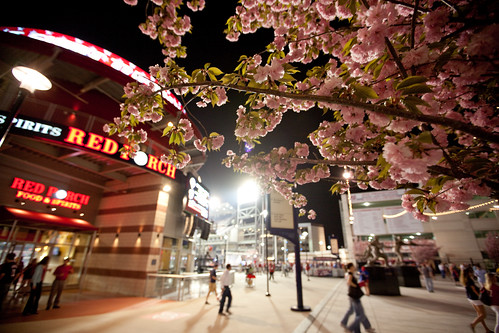 outside Nationals Park in DC (by: Ed Schipul, creative commons license)