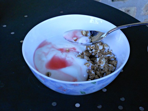 Rhubarb Syrup on Yogurt 2