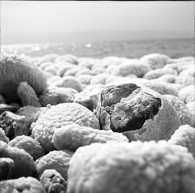 Dead Sea - salty rocks