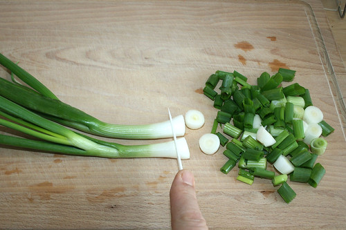 12 - Frühlingszwiebeln schneiden / Cut spring onions