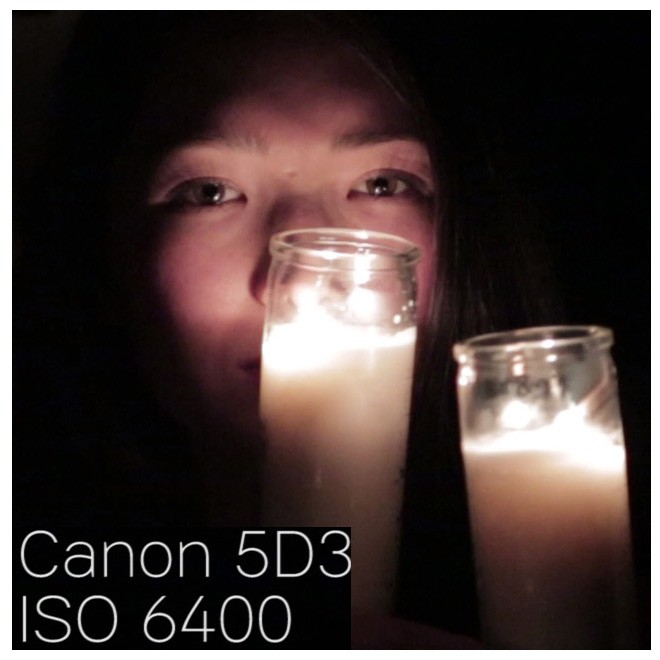 canon5d3_iso6400_100percentcrop
