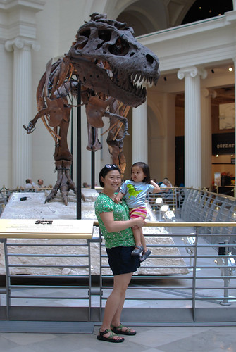 In front of Sue, the largest and most complete (80%) Tyrannosaurus rex skeleton currently known.