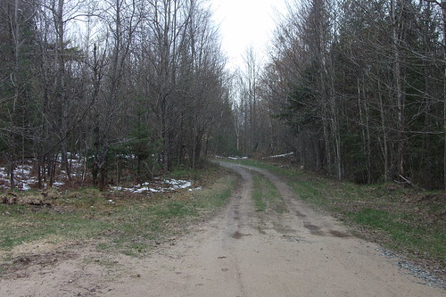 Driveway, 4/24/2012 by woodsrun