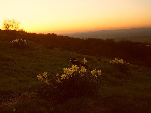 Chevin Sunsets 001