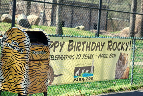 zoo - birthday