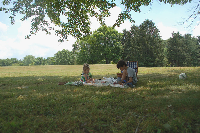 picnic3